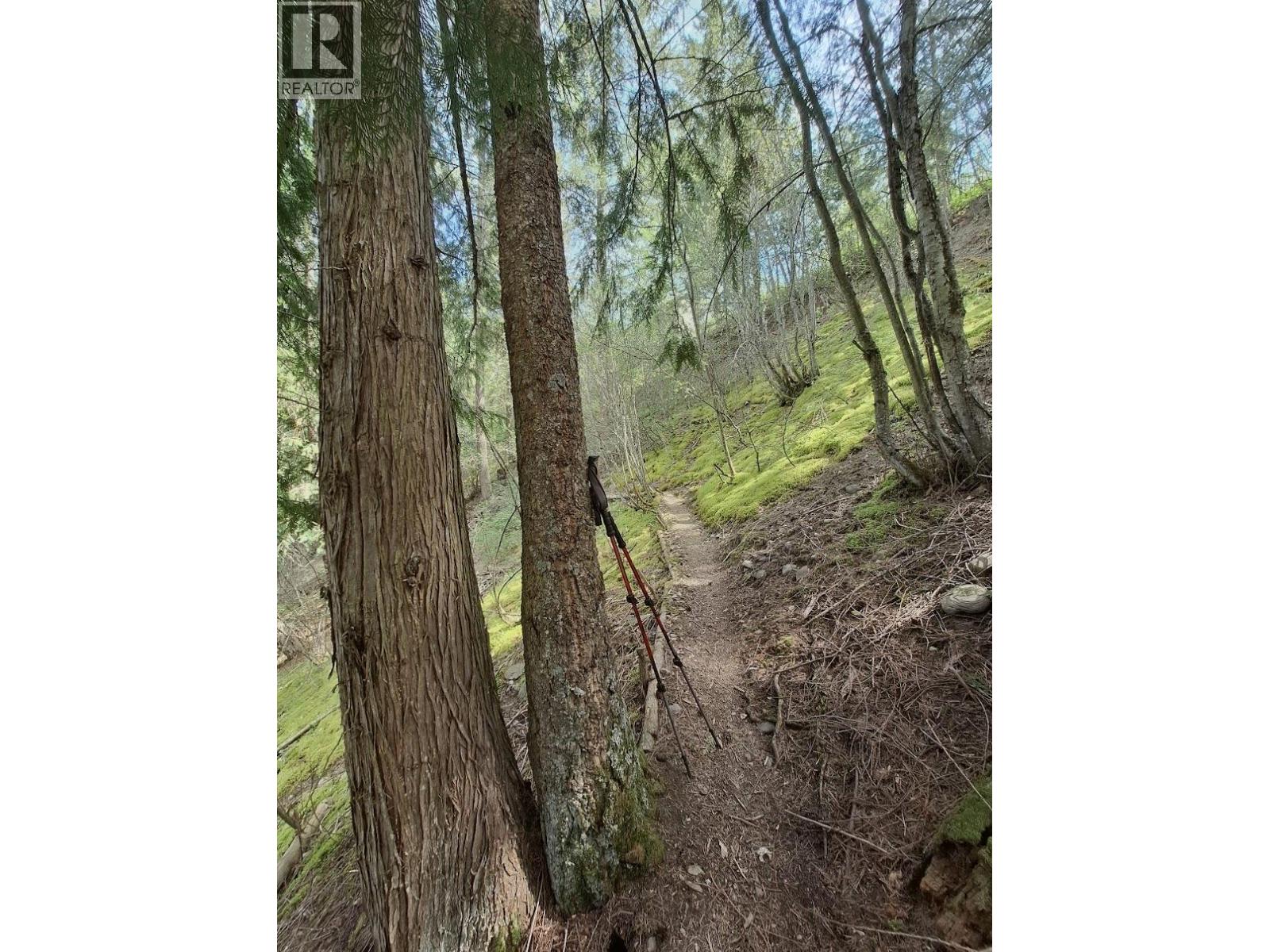 4039 Zapp Road - 38