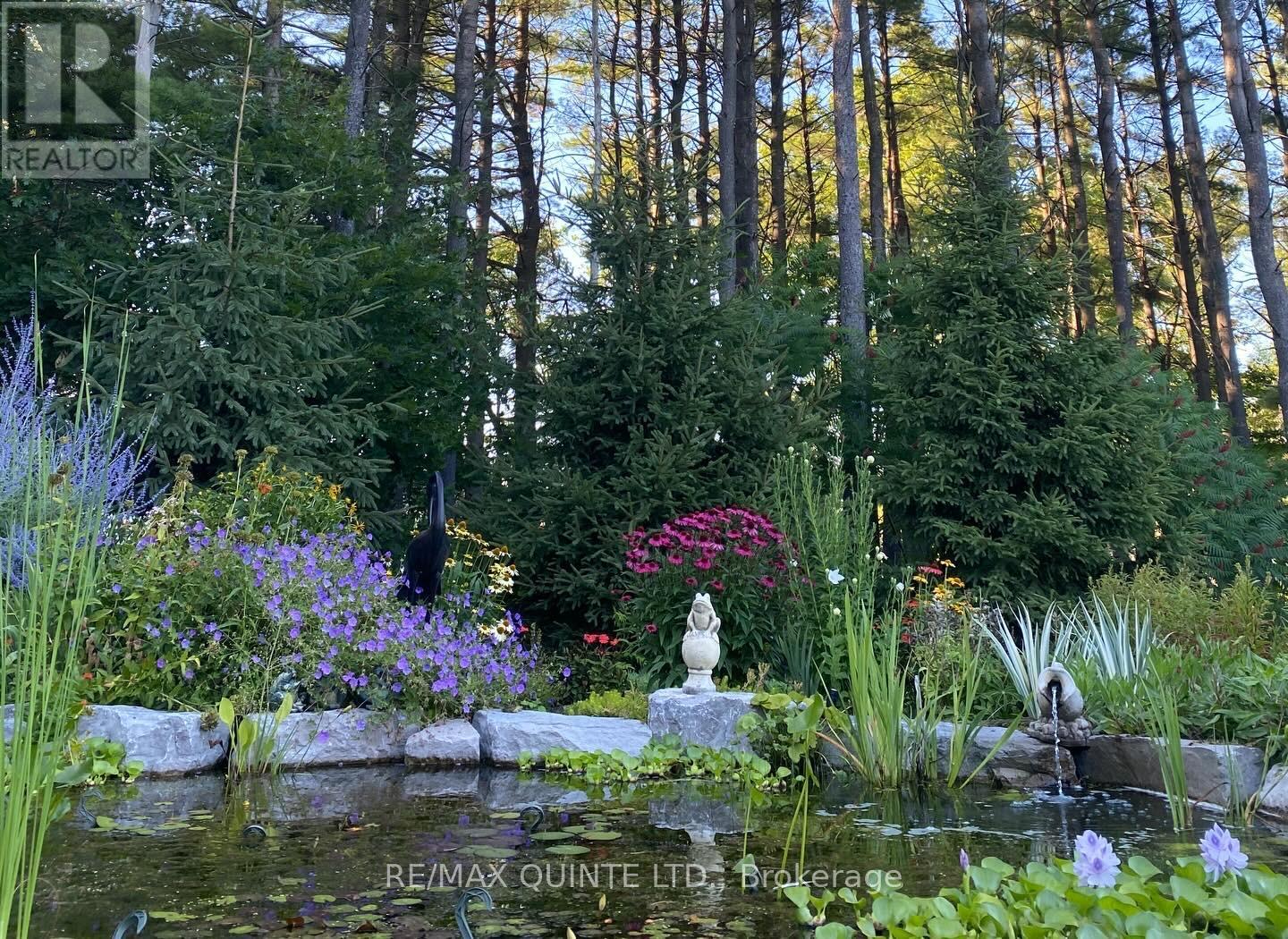 2 TREEVIEW AVENUE - 34