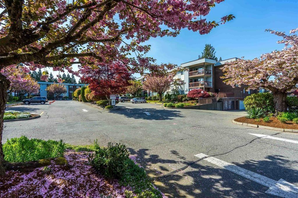 302 2279 MCCALLUM Road - main photo
