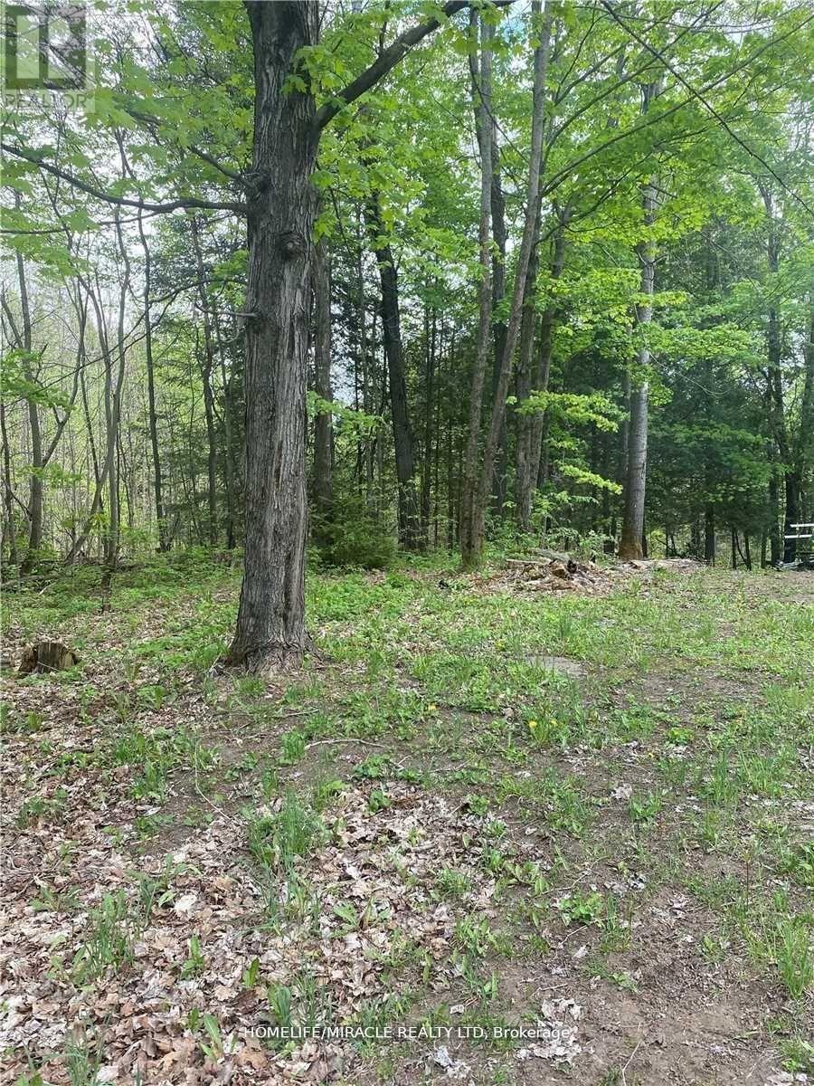 3460 HARBURN ROAD - 1
