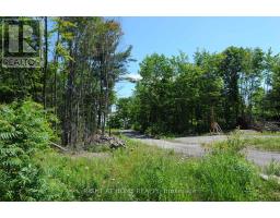 22 Hawkins Point, Georgian Bay, ON P0C1H0 Photo 22