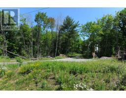 22 Hawkins Point, Georgian Bay, ON P0C1H0 Photo 17