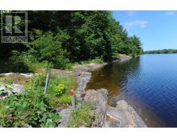 22 Hawkins Point, Georgian Bay, ON P0C1H0 Photo 25