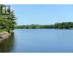 22 Hawkins Point, Georgian Bay, ON P0C1H0 Photo 27