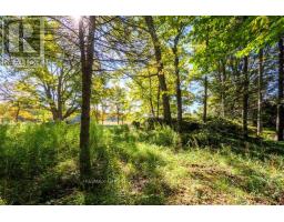 290 Clarke's Road, Northern Bruce Peninsula, ON N0H1W0 Photo 10