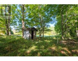 290 Clarke's Road, Northern Bruce Peninsula, ON N0H1W0 Photo 11