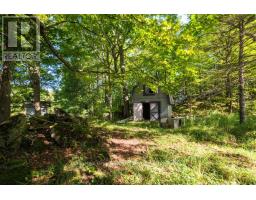 290 Clarke's Road, Northern Bruce Peninsula, ON N0H1W0 Photo 13
