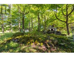 290 Clarke's Road, Northern Bruce Peninsula, ON N0H1W0 Photo 14