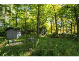 290 Clarke's Road, Northern Bruce Peninsula, ON N0H1W0 Photo 16