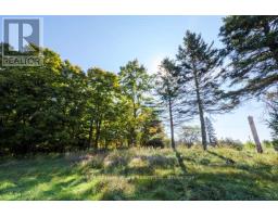 290 Clarke's Road, Northern Bruce Peninsula, ON N0H1W0 Photo 17