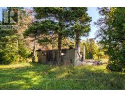 290 Clarke's Road, Northern Bruce Peninsula, ON N0H1W0 Photo 20