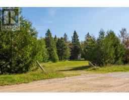 290 Clarke's Road, Northern Bruce Peninsula, ON N0H1W0 Photo 22
