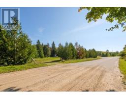 290 Clarke's Road, Northern Bruce Peninsula, ON N0H1W0 Photo 23