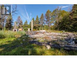 290 Clarke's Road, Northern Bruce Peninsula, ON N0H1W0 Photo 26