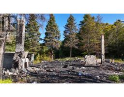 290 Clarke's Road, Northern Bruce Peninsula, ON N0H1W0 Photo 27