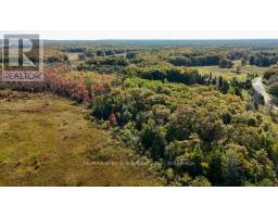 290 Clarke's Road, Northern Bruce Peninsula, ON N0H1W0 Photo 36