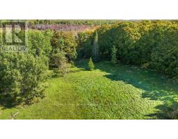 290 Clarke's Road, Northern Bruce Peninsula, ON N0H1W0 Photo 39