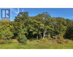290 Clarke's Road, Northern Bruce Peninsula, ON N0H1W0 Photo 40