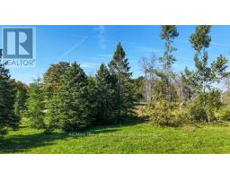 290 Clarke's Road, Northern Bruce Peninsula, ON N0H1W0 Photo 41