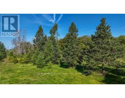 290 Clarke's Road, Northern Bruce Peninsula, ON N0H1W0 Photo 44