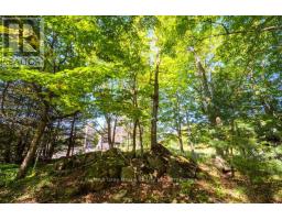 290 Clarke's Road, Northern Bruce Peninsula, ON N0H1W0 Photo 8