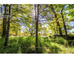 290 Clarke's Road, Northern Bruce Peninsula, ON N0H1W0 Photo 9