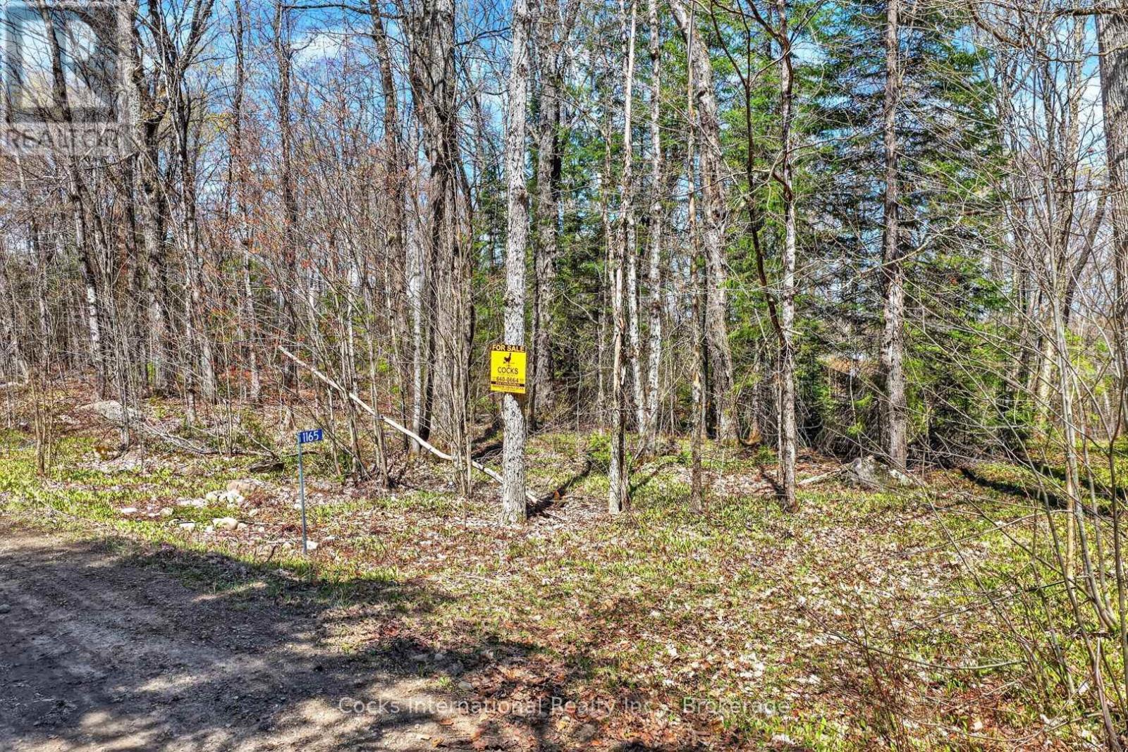 1165 SPRING LAKE ROAD - 19
