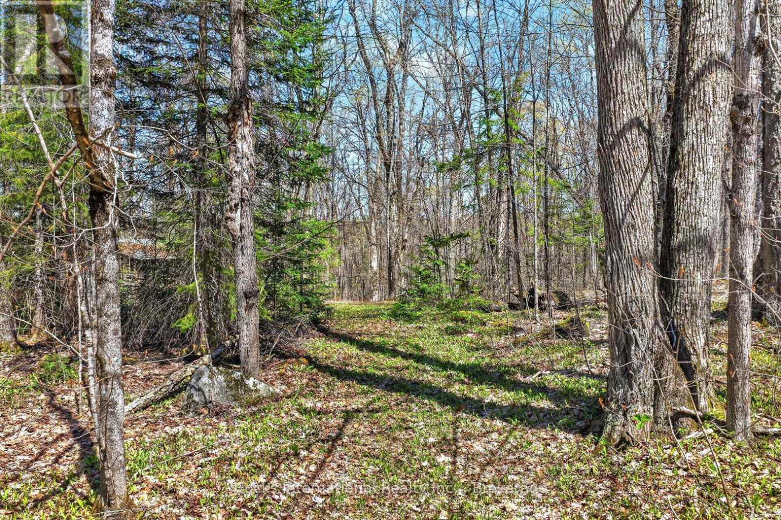 1165 SPRING LAKE ROAD - 20