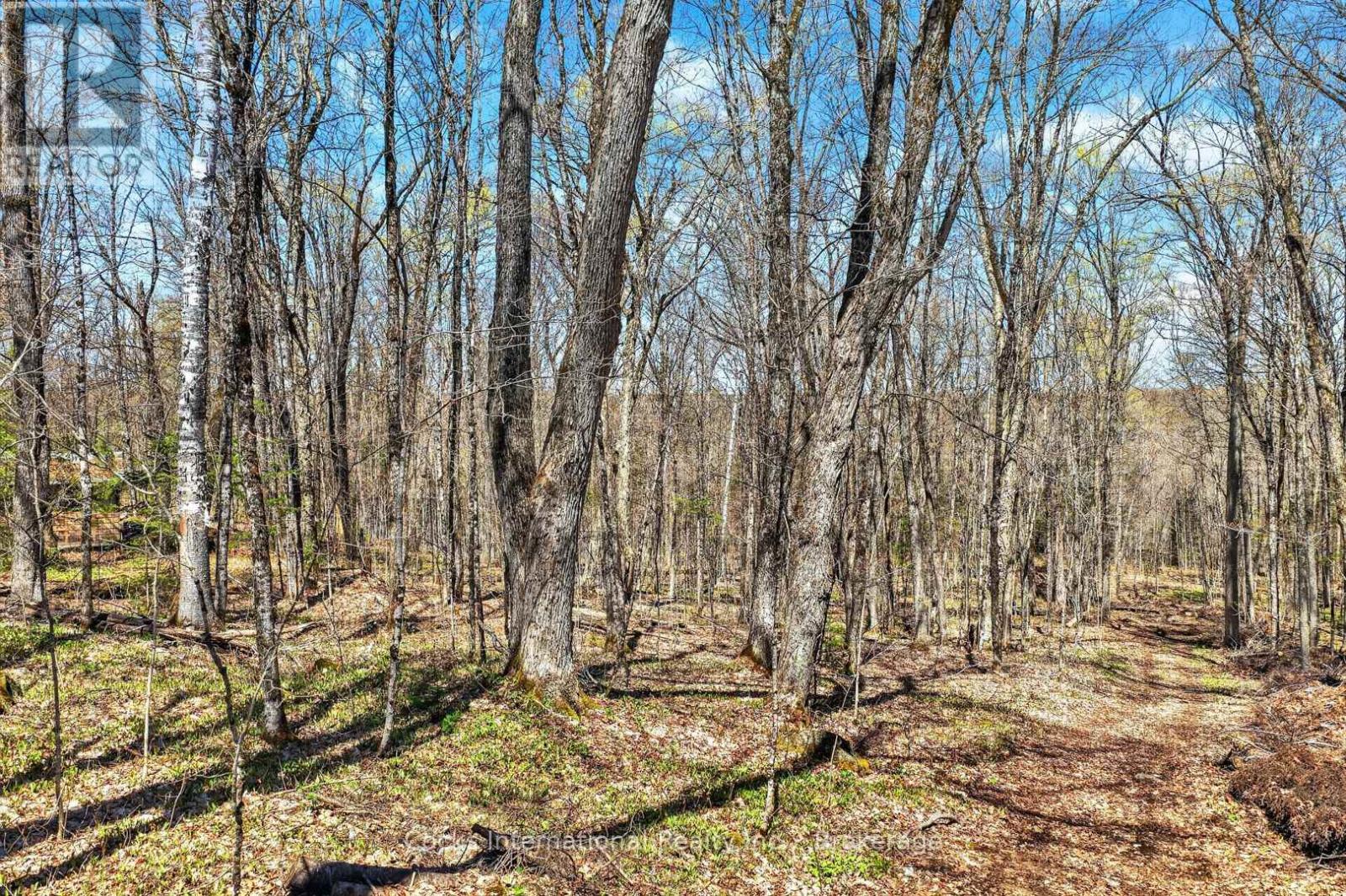 1165 SPRING LAKE ROAD - 21