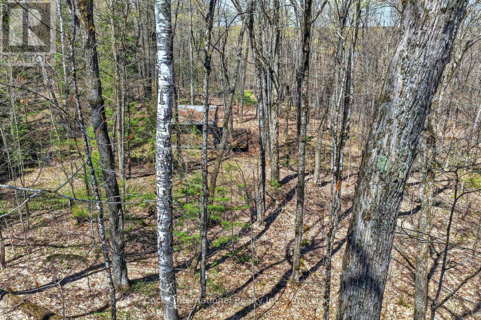 1165 SPRING LAKE ROAD - 22