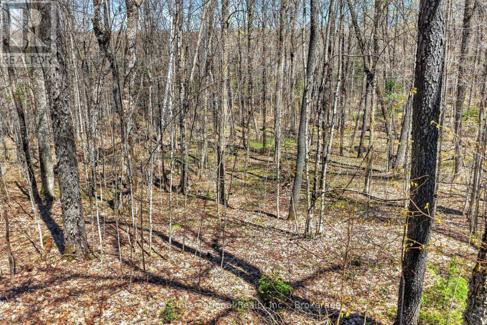1165 SPRING LAKE ROAD - 26