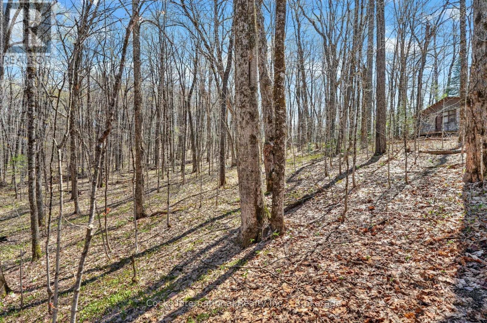 1165 SPRING LAKE ROAD - 34