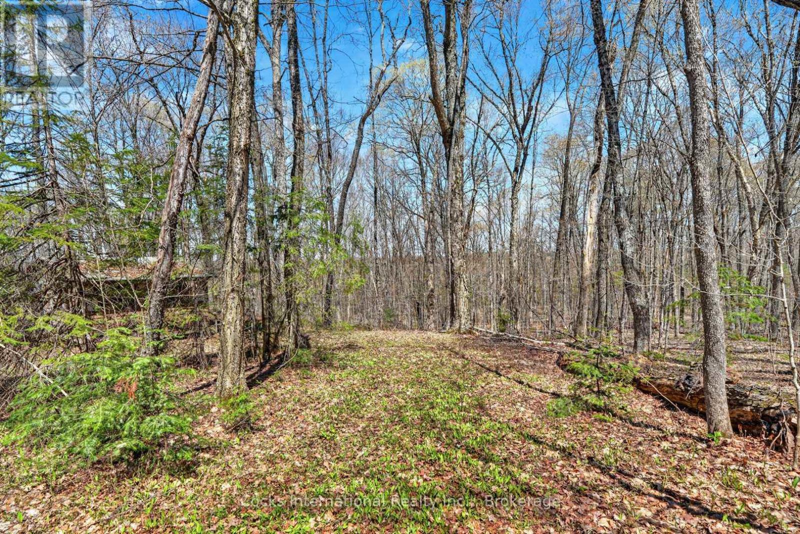 1165 SPRING LAKE ROAD - 36