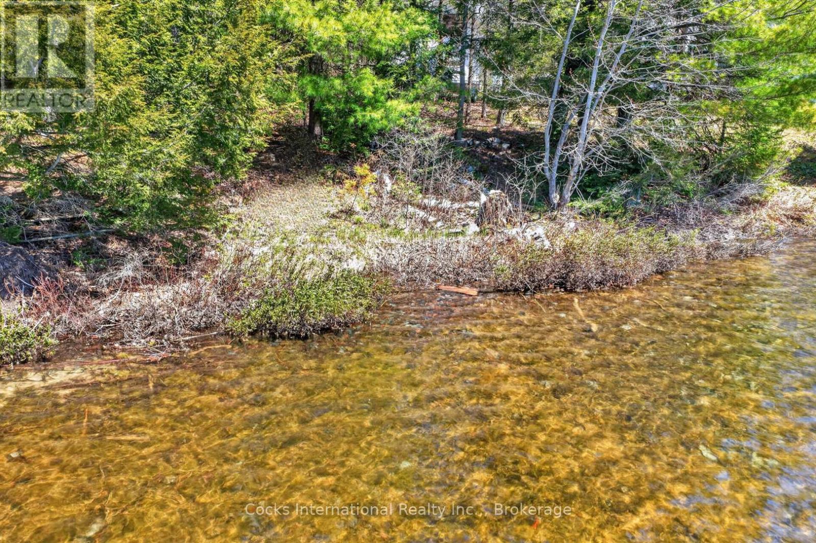 1165 SPRING LAKE ROAD - Image 7