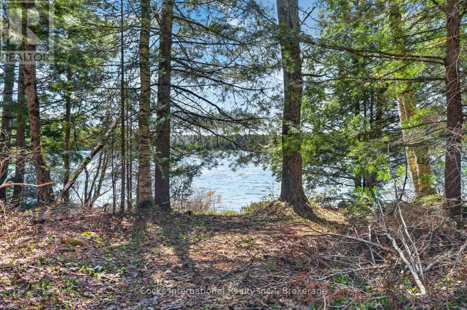 1165 SPRING LAKE ROAD - 9