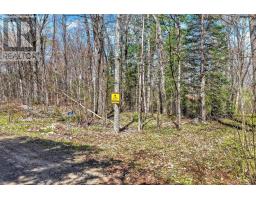 1165 Spring Lake Road, Bracebridge, ON P1L1X1 Photo 19