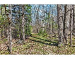 1165 Spring Lake Road, Bracebridge, ON P1L1X1 Photo 20