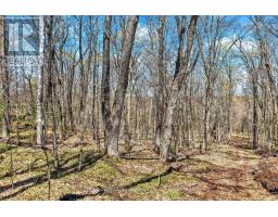 1165 Spring Lake Road, Bracebridge, ON P1L1X1 Photo 21
