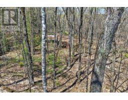 1165 Spring Lake Road, Bracebridge, ON P1L1X1 Photo 22
