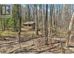 1165 Spring Lake Road, Bracebridge, ON P1L1X1 Photo 23