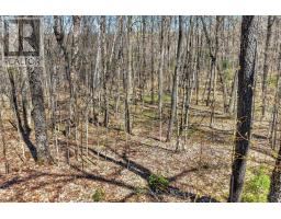 1165 Spring Lake Road, Bracebridge, ON P1L1X1 Photo 26