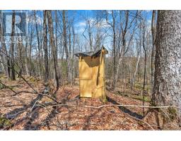 1165 Spring Lake Road, Bracebridge, ON P1L1X1 Photo 32