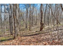 1165 Spring Lake Road, Bracebridge, ON P1L1X1 Photo 33