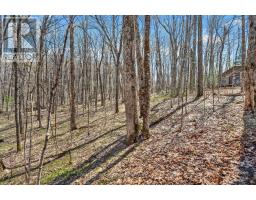 1165 Spring Lake Road, Bracebridge, ON P1L1X1 Photo 34