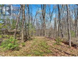 1165 Spring Lake Road, Bracebridge, ON P1L1X1 Photo 36