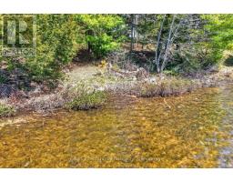 1165 Spring Lake Road, Bracebridge, ON P1L1X1 Photo 7