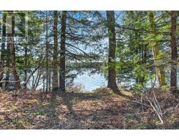 1165 Spring Lake Road, Bracebridge, ON P1L1X1 Photo 9