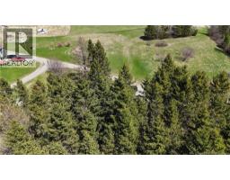 Francoeur Hill Road, New Denmark, NB E7G1R3 Photo 6