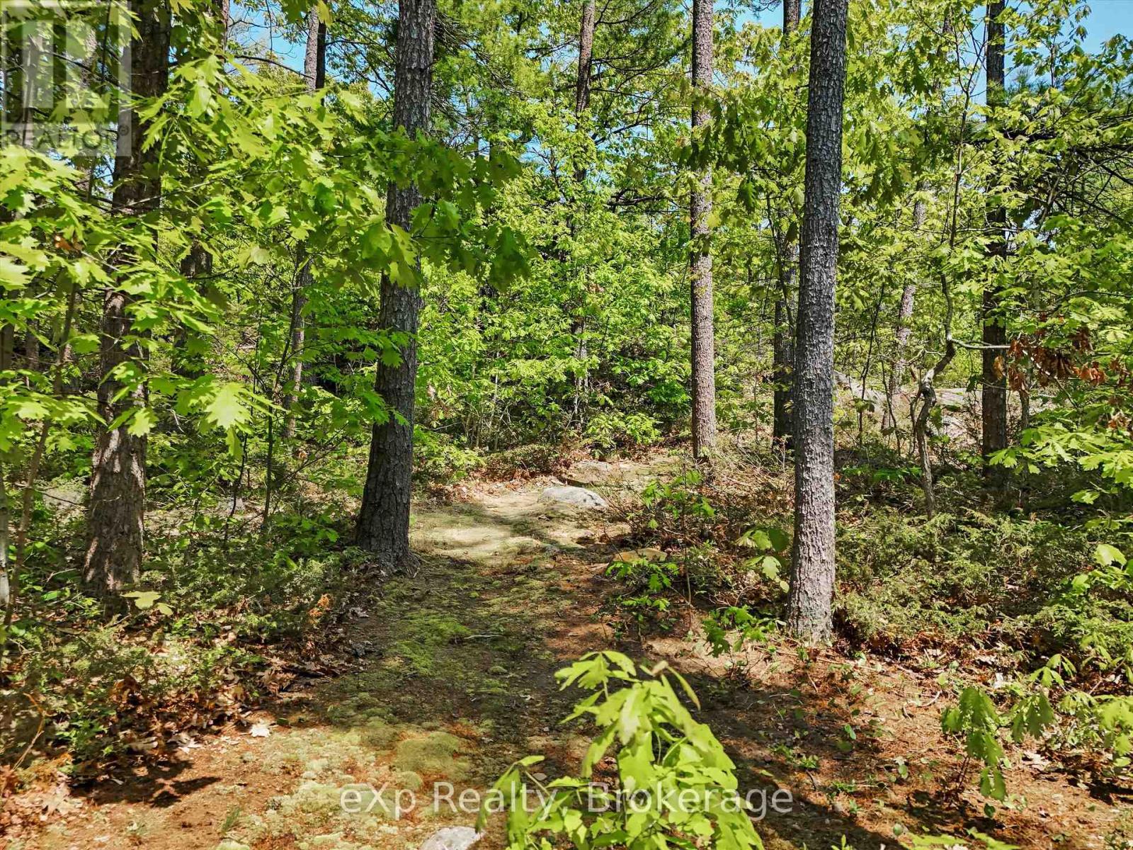 6646 1040LITTLEBEAUSOLEIL ISLAND - Image 40