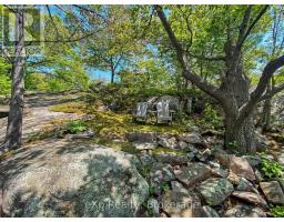 6646 1040littlebeausoleil Island, Georgian Bay, ON P0E1E0 Photo 38